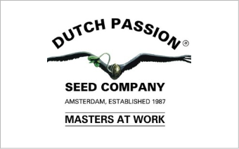 Dutch passion
