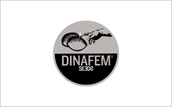 Dinafem Seeds