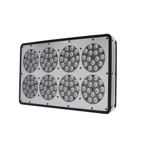 Ortoled 8 Coltivazione Indoor