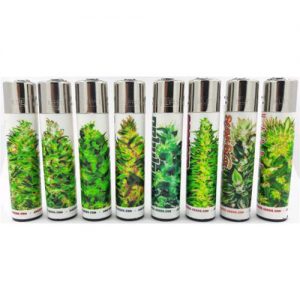 Clipper Paradise Seeds