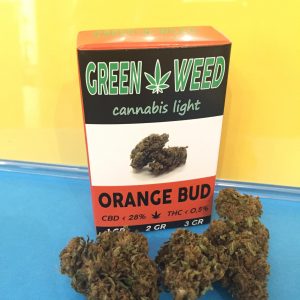 Orange Bud