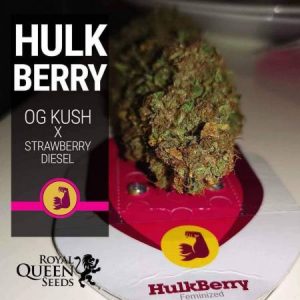 HulkBerry