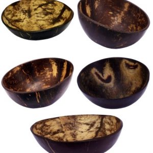 Ciotole in Cocco