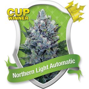 Northern Light Automatic