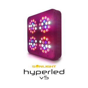 Illuninazione Indoor