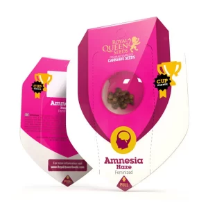 Amnesia Haze