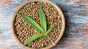 olio di canapa antidolorifico Mira