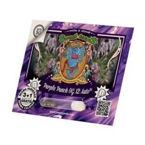 Auto Purple Punch OG XL ®