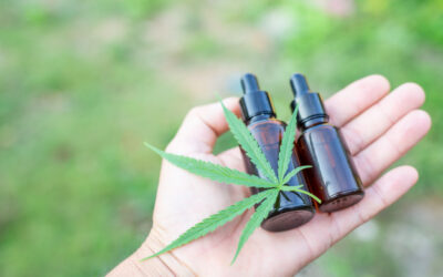 CANAPA: LA FIBRA COSÌ PERFETTA, COSÌ SCOMODA