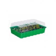 Infiorescenze cbd online