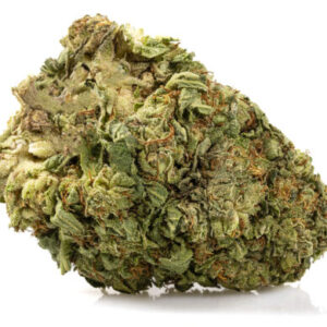 Jack Herer