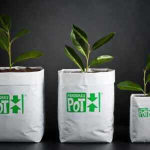 VASO PANDORA 18X20X45 - 12,5L