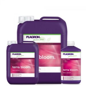 Fioritura Piante