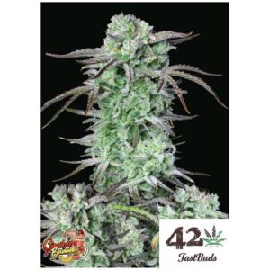 Strawberry Banana Auto Fast Buds 4.20