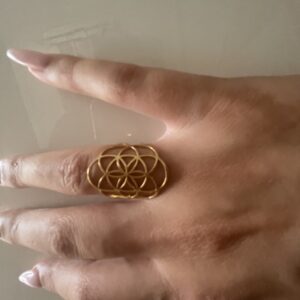 Anello Seme della Vita