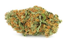 Cannabis Light Queen