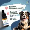 CBD OLIO PET 6% 10ML - immagine 4