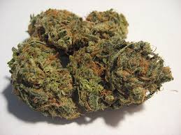 Cannabis Light Gorilla Fast