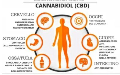 A cosa serve l’Olio di CBD?